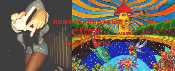 молекула духа Аркадак