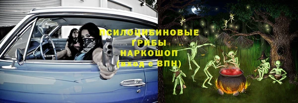 spice Алзамай