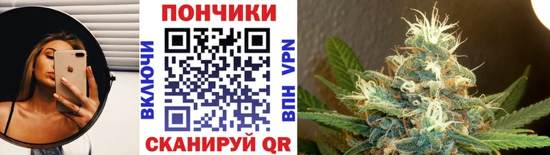 где найти   Бежецк  Шишки марихуана семена 